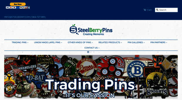 steelberrypins.com