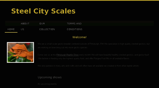 steelcityscales.com