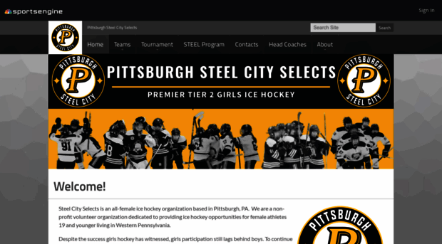steelcityselectshockey.com
