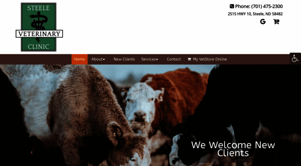 steelevetclinic.com