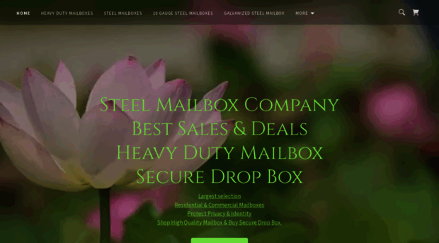 steelmailbox.com