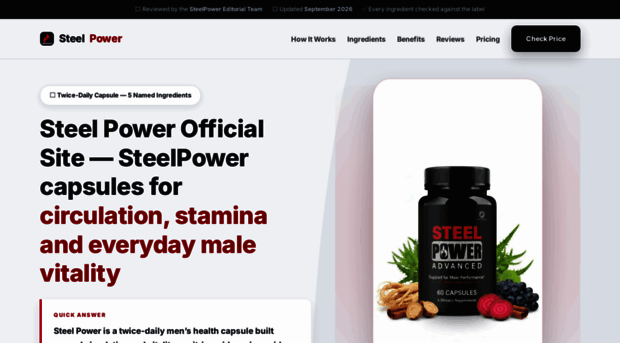 steelppower.com