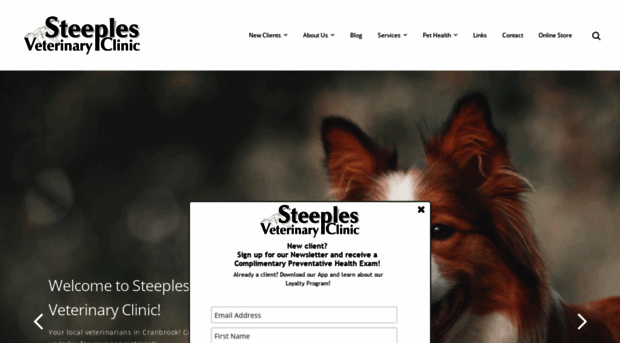 steeplesvetclinic.com