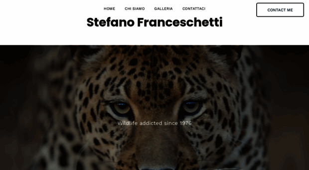 stefanofranceschetti.com