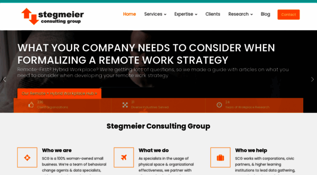 stegmeierconsulting.com