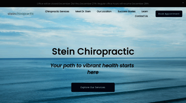 steinchiropractic.com