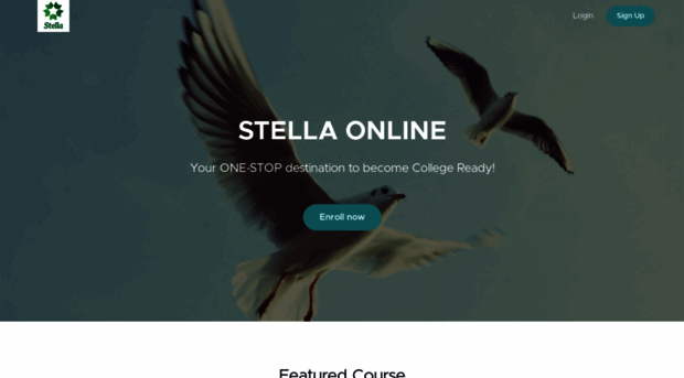 stella.teachable.com