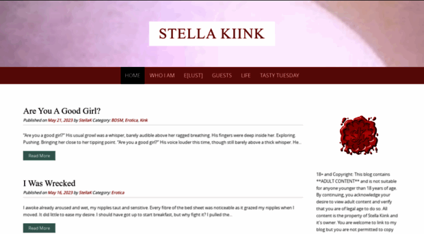 stellakiink.com