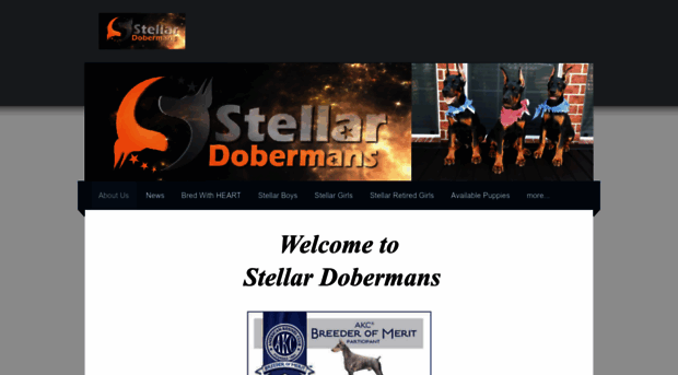 stellardobermans.com