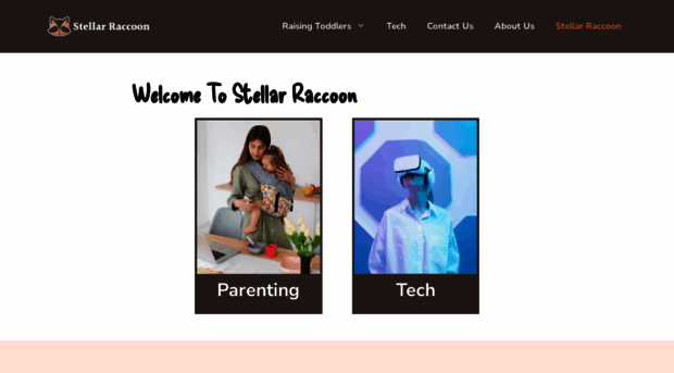 stellarraccoon.com