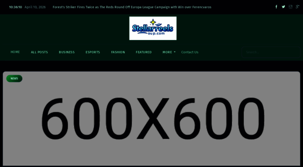 stellarreelsgroup.com