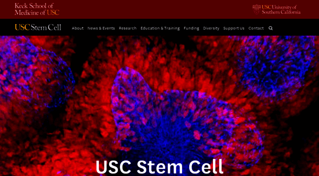 stemcell.keck.usc.edu