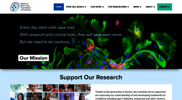 stemcellfoundation.net.au