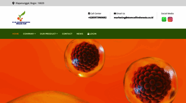 stemcellindonesia.co.id