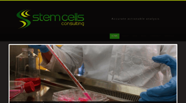 stemcellsconsulting.com