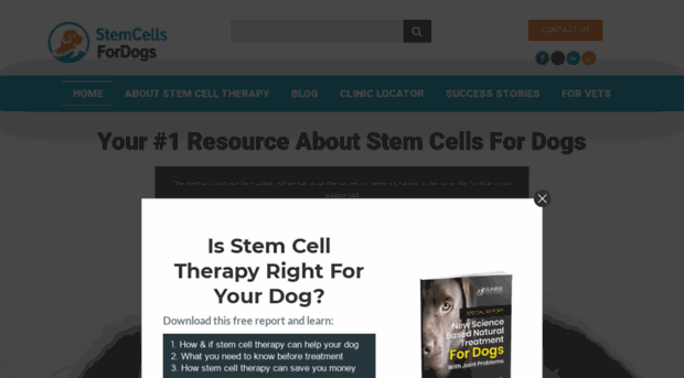 stemcellsfordogs.com