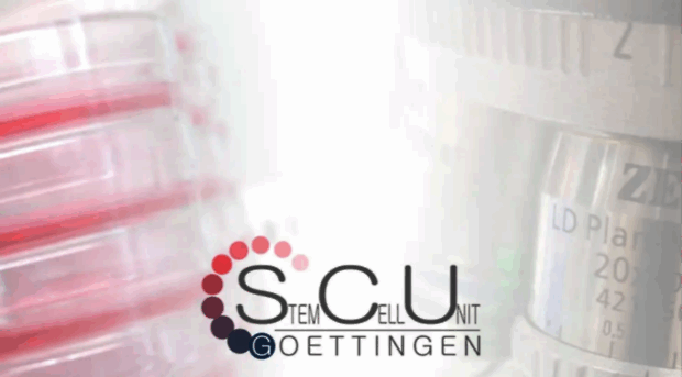 stemcellunit-umg.de