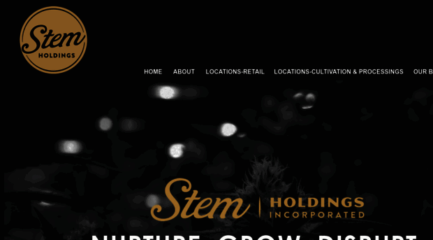 stemholdings.com