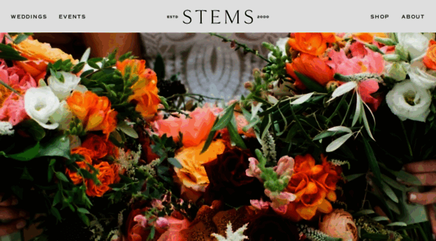 stemschicago.com