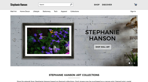 stephanie-hanson.artistwebsites.com