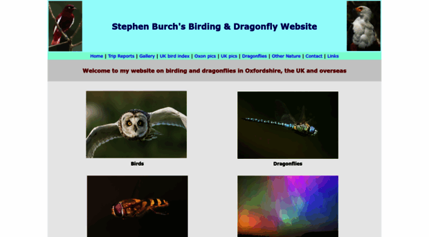 stephenburch.com