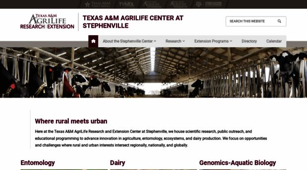 stephenville.tamu.edu