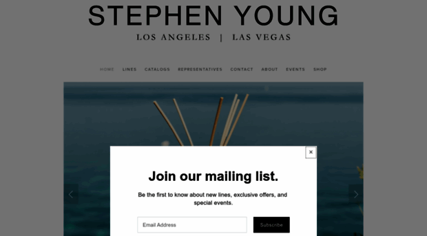 stephenyoung.net