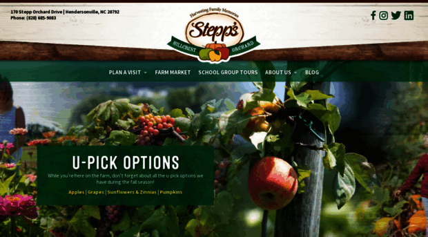 steppapples.com