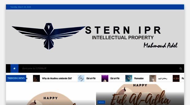 stern-ipr.com