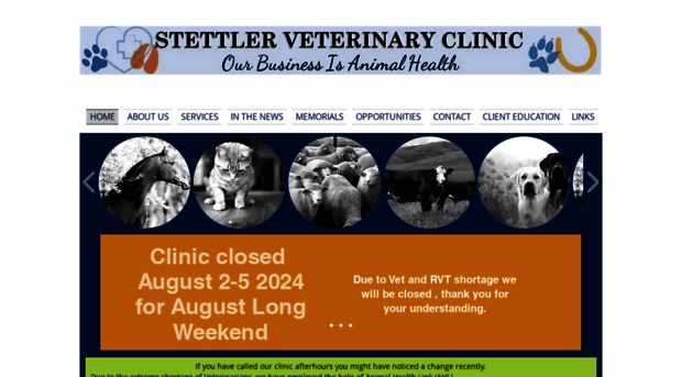 stettlervetclinic.com