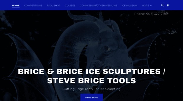 stevebrice.net