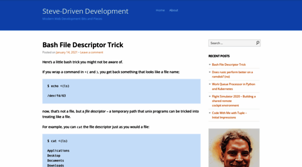 stevedrivendevelopment.com