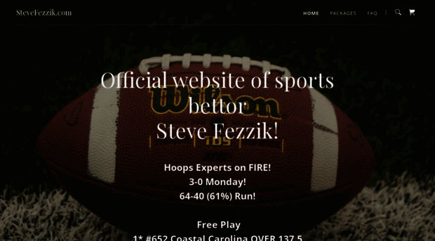 stevefezzik.com