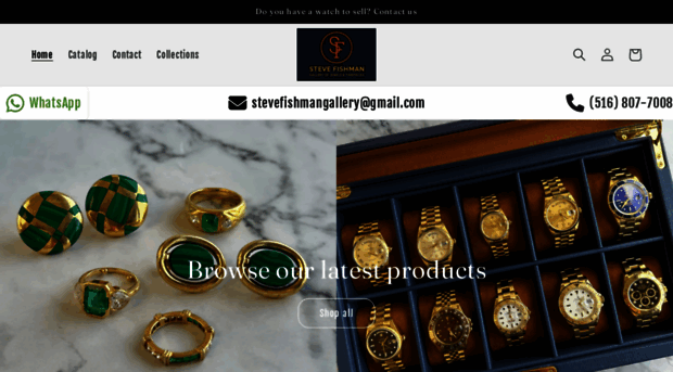 stevefishmangallery.com