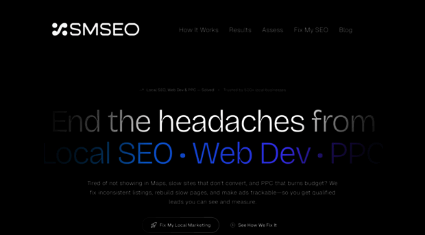 stevemartinseo.com