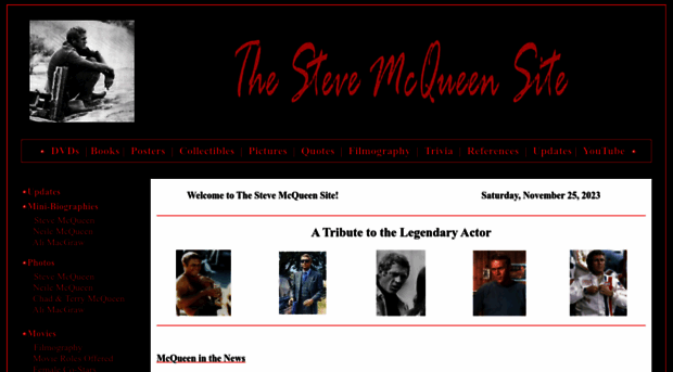 stevemcqueensite.com