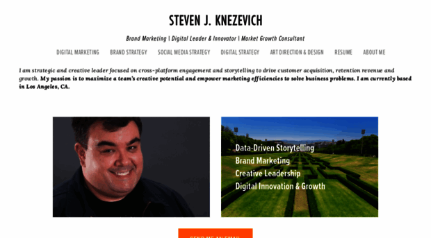 steven-knezevich.squarespace.com