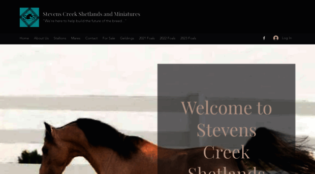 stevenscreekshetlands.com