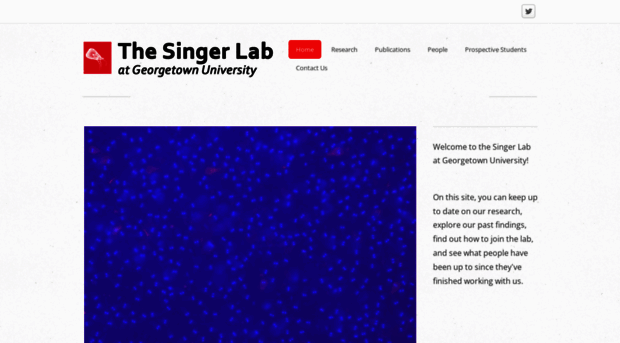 stevensingerlab.org