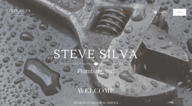 stevesilvaplumbing.com