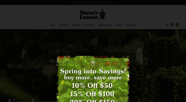 stevesleaves.com