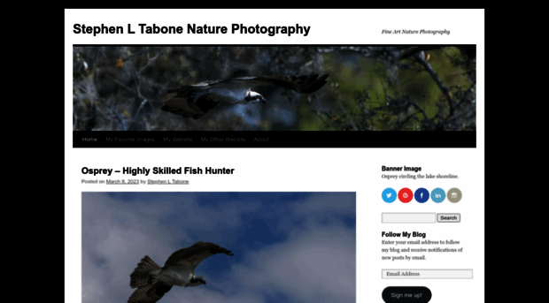 stevetaboneblog.com
