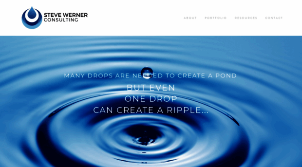 stevewernerconsulting.com