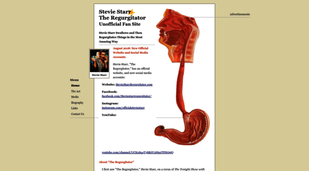 steviestarr.com