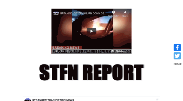 stfnreport.com