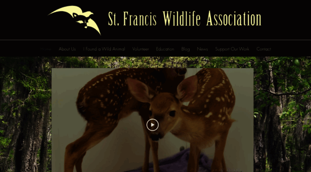 stfranciswildlife.org