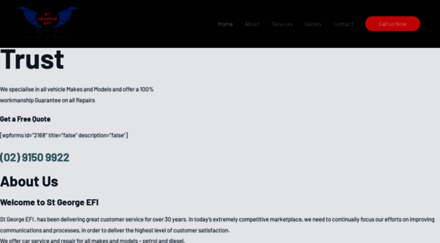 stgeorgeefi.com.au