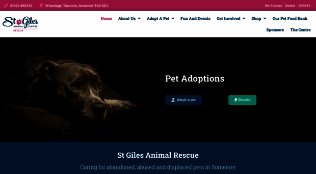 stgilesanimalrescue.co.uk