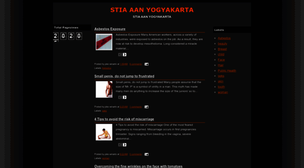 stia-aan-yogyakarta.blogspot.com