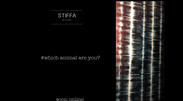 stiffa.com